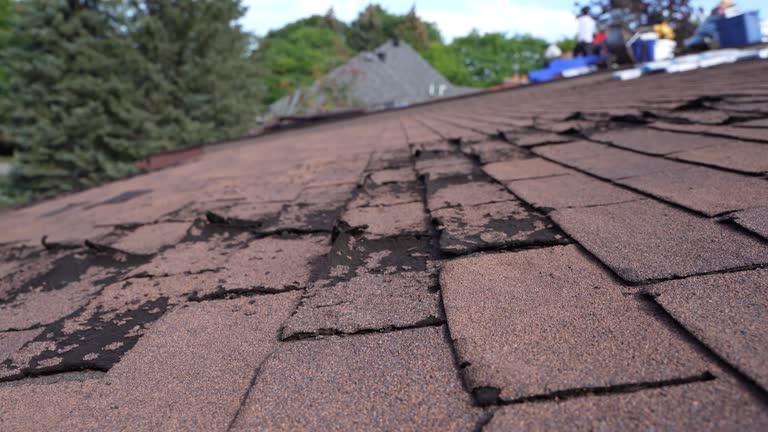 Best Roof Ventilation Installation  in Ethete, WY